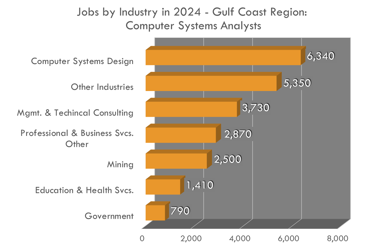 THere are so many industries for a computer systems analyst to go into THere are so many industries for a computer systems analyst to go into