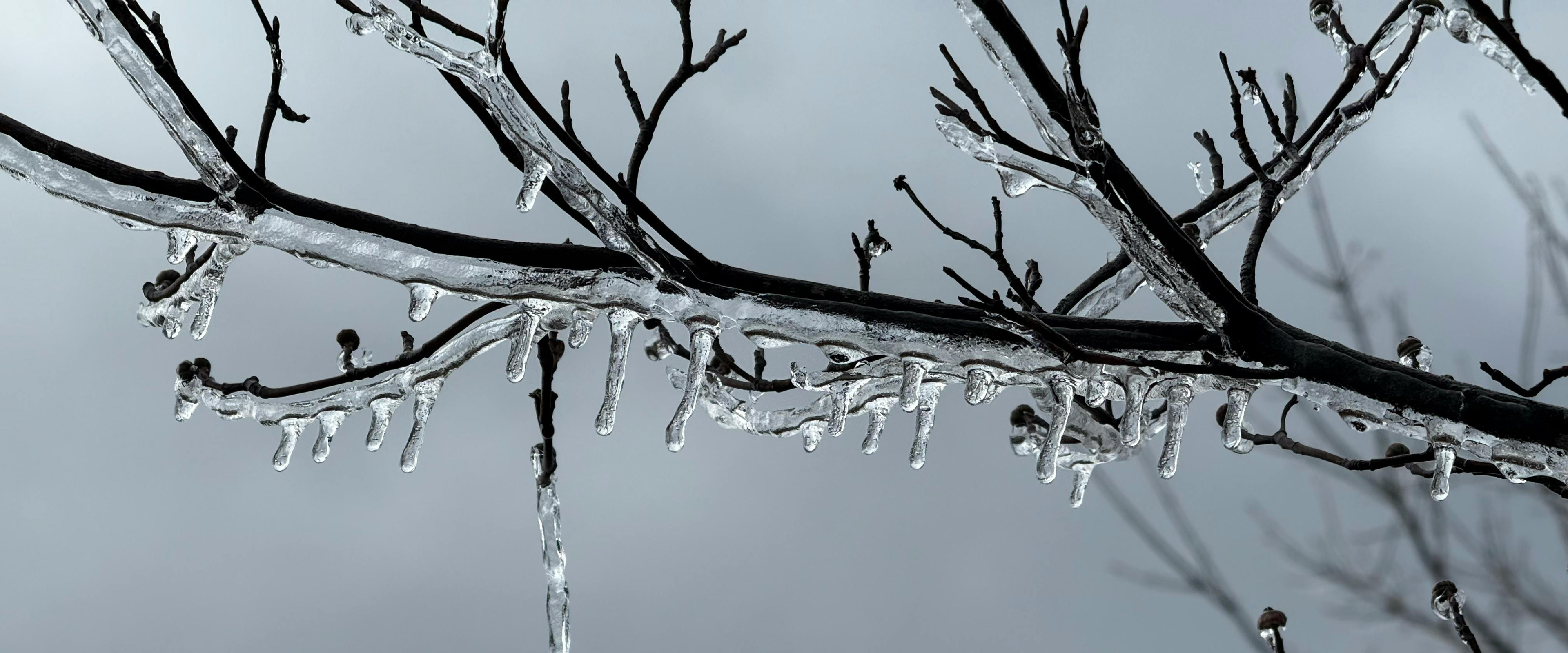 Notice of Office Closure Due to Inclement Weather