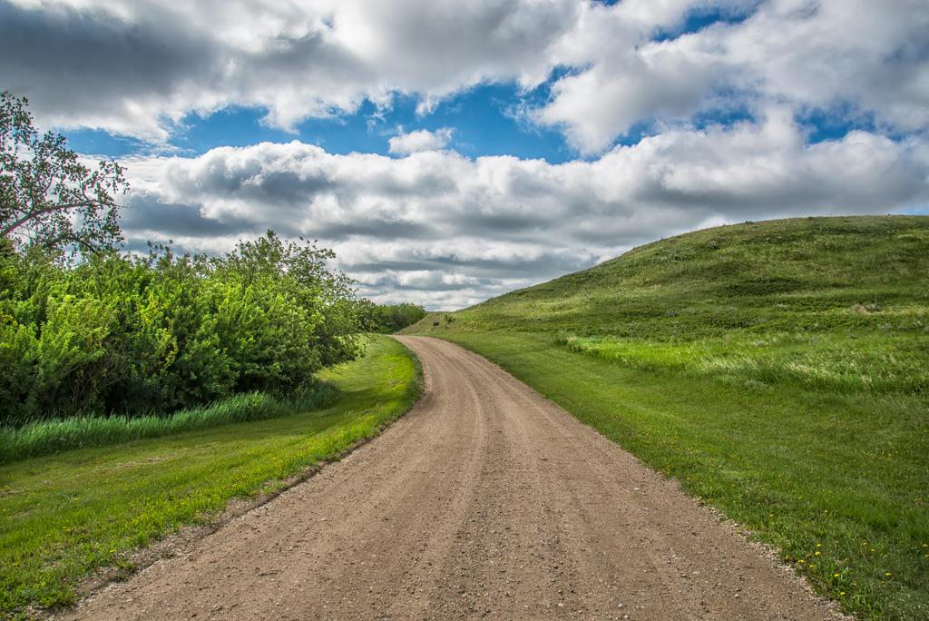 The Way Home